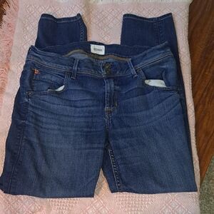 Hudson Jeans Women's Blue Jeans